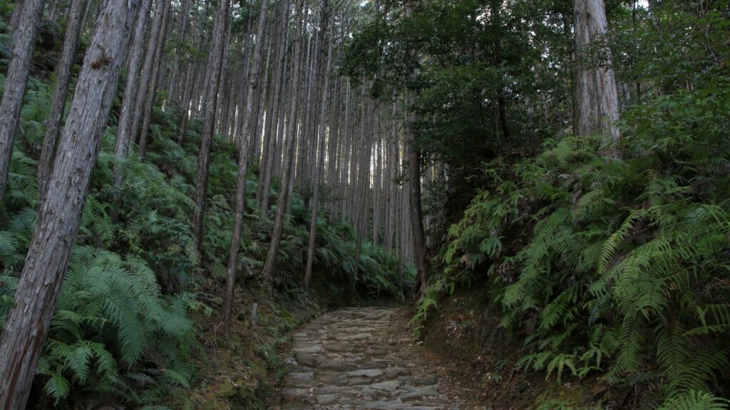 Kumano Kodo Pilgrimage Routes